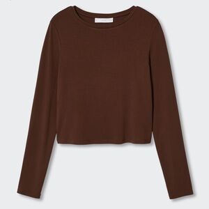 Mango Brown Fitted Crop Blouse